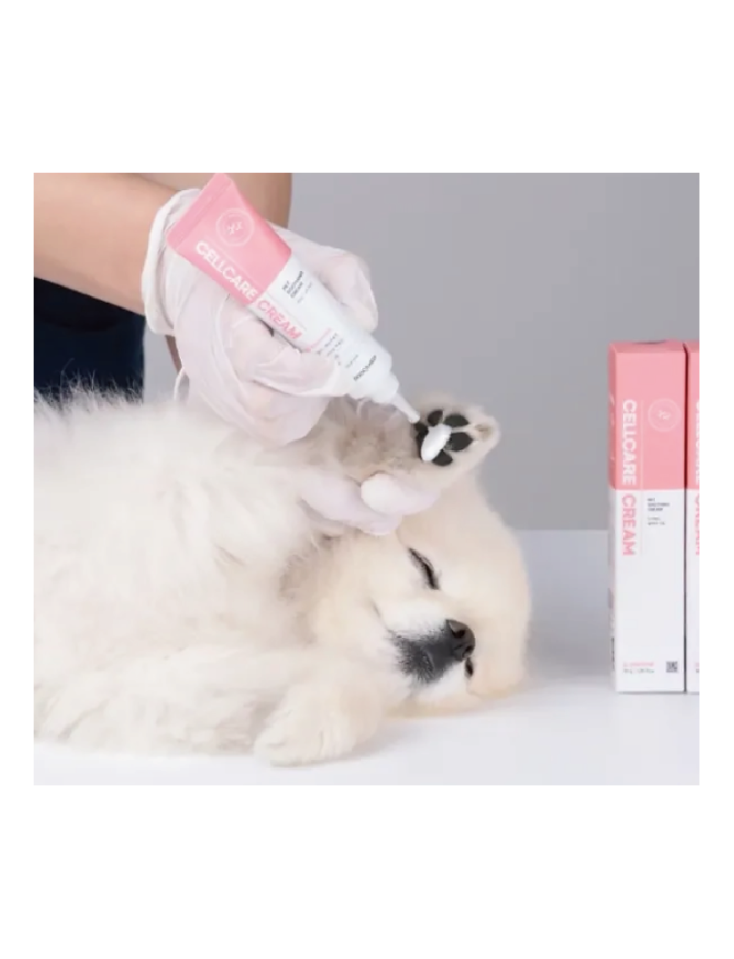 (寵物用) DOOCA MEDI Cellcare Cream 幹細胞寵物護理霜 30g