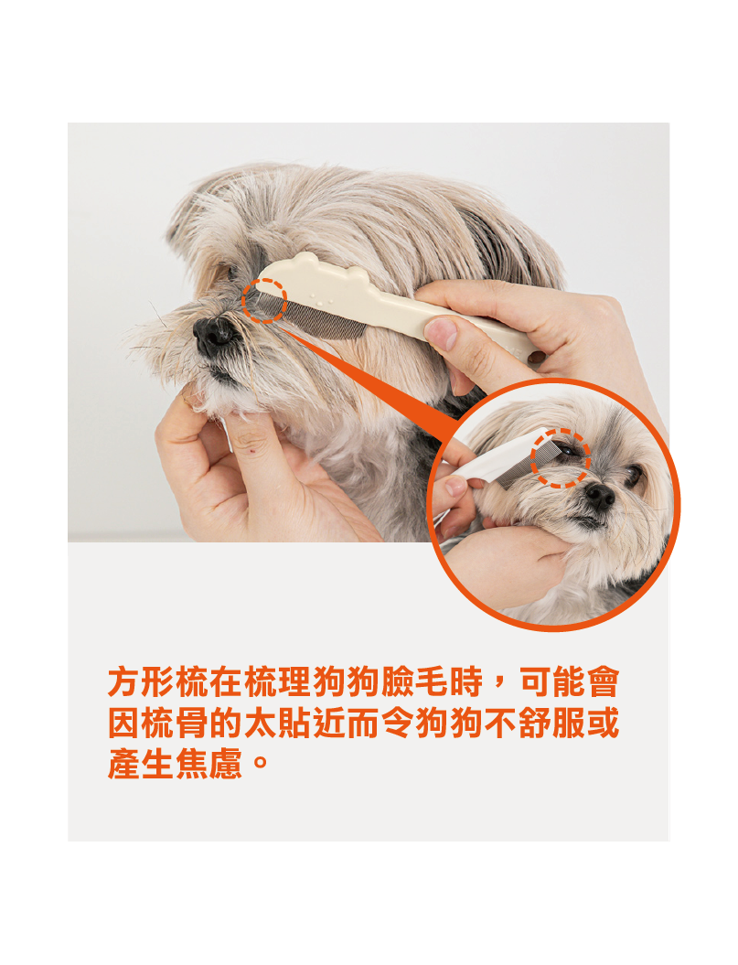 (寵物用) BITE ME Jelly Bear Rounded Face Comb (Pet) 狗狗臉毛梳
