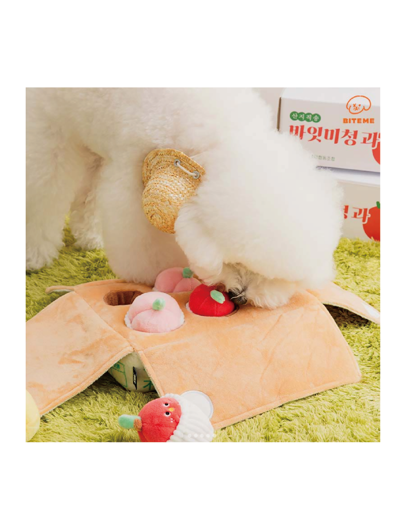 (寵物用) BITE ME Mixed Fruits Box Nosework Toy 寵物雜錦水果盒嗅覺玩具