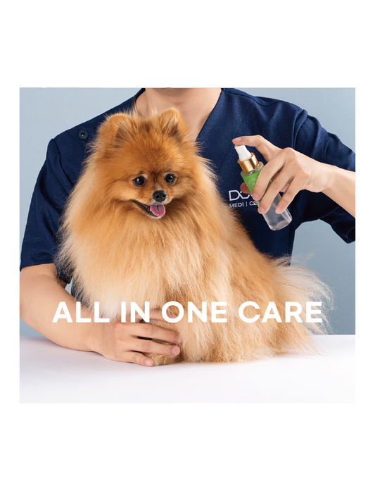 (寵物用) DOOCAMEDI Cellcare Mist With Spray Bottle 500ml 幹細胞全效修復噴霧 500ml (附送原裝噴霧瓶一支 100ml)