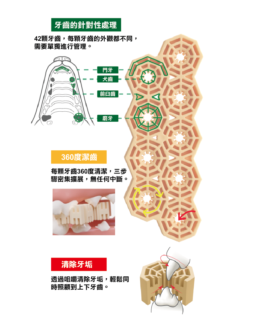 (寵物用) Nature Trace Spider Web Dental Bar - Digestive 蜘蛛網潔齒骨 - 易消化