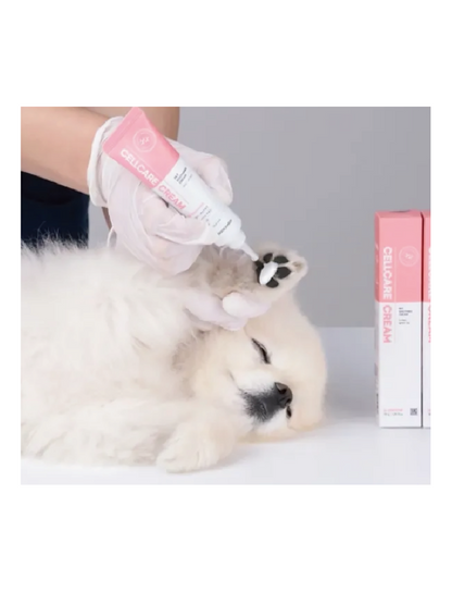 (寵物用) DOOCA MEDI Cellcare Cream 幹細胞寵物護理霜 30g