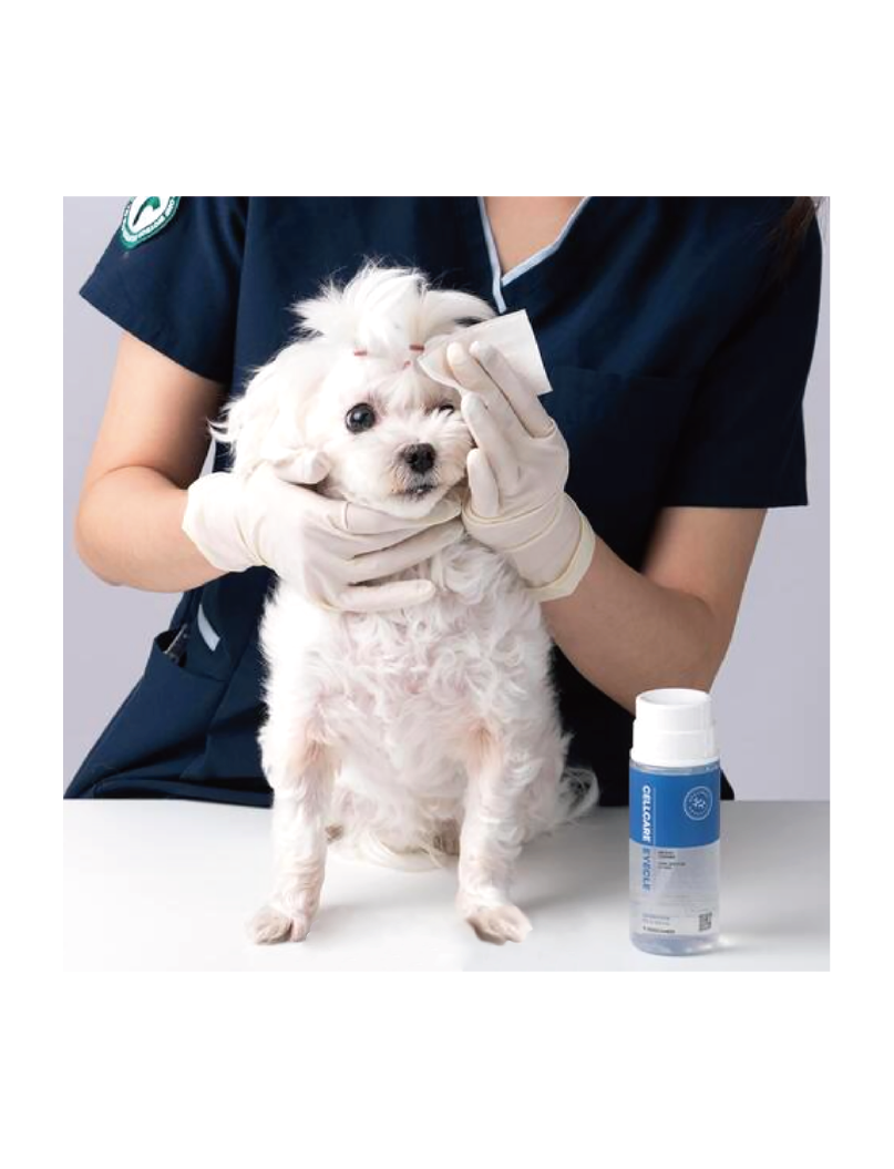 (寵物用) DOOCA MEDI Cellcare Eyecle 幹細胞寵物清潔護理眼液 150ml