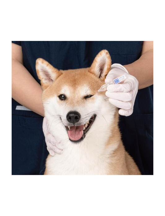 (寵物用) DOOCA MEDI Cellcare Pet Eye Drop 寵物幹細胞眼部護理水 1ml x 10支