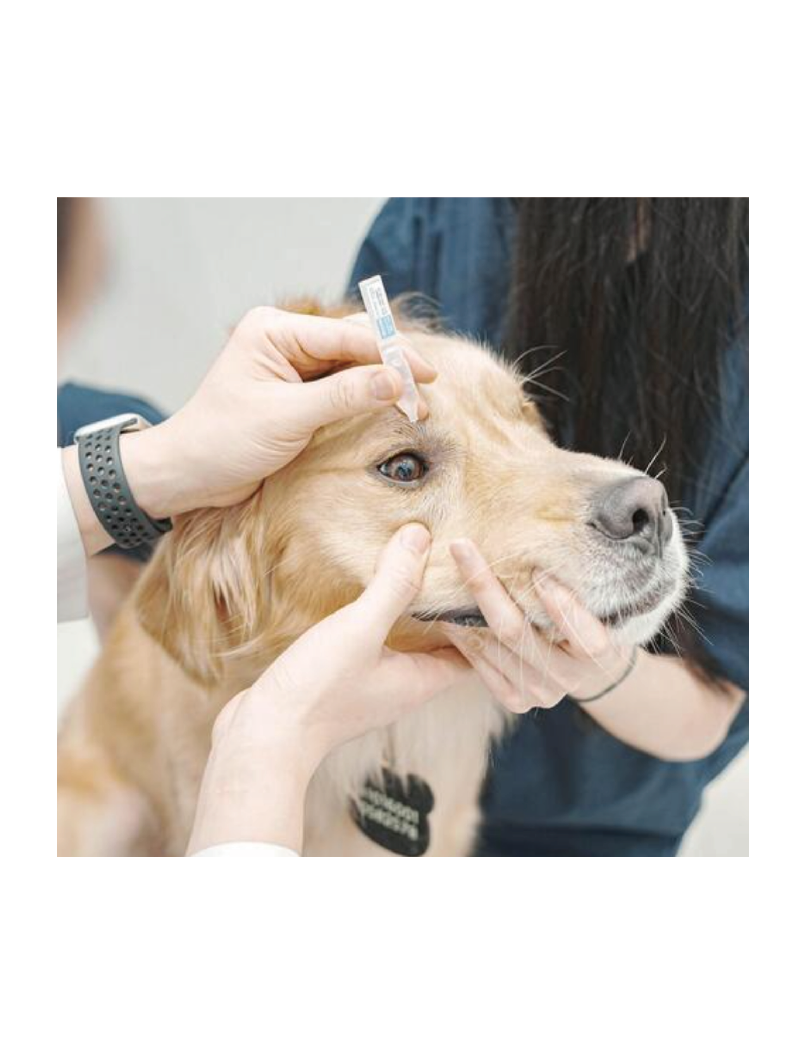(寵物用) DOOCA MEDI Cellcare Pet Eye Drop 寵物幹細胞眼部護理水 1ml x 10支