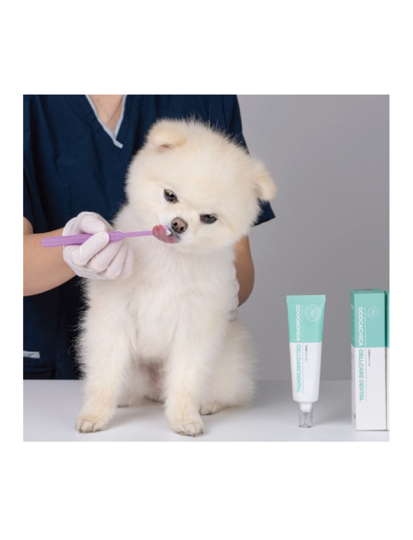 (寵物用) DOOCA MEDI Cellcare Dental 寵物護理牙膏 60g