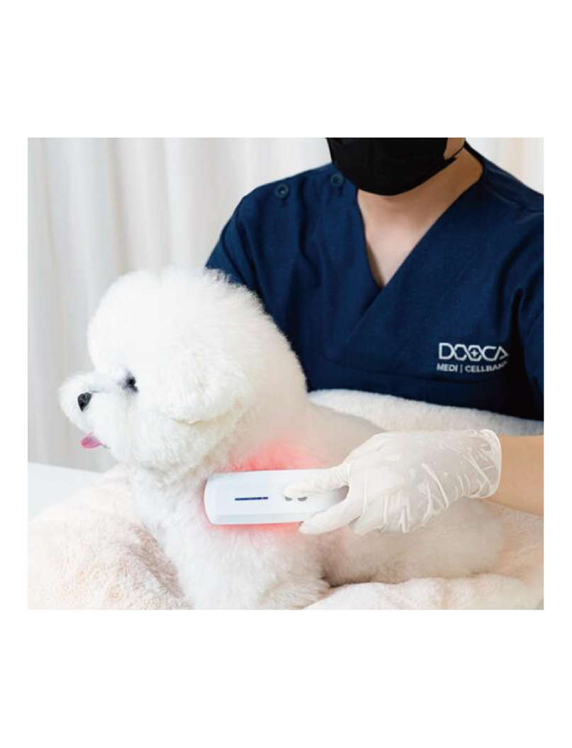 (寵物用) DOOCA MEDI Cellcare Drama LED 寵物皮膚護理 LED 光能治療器