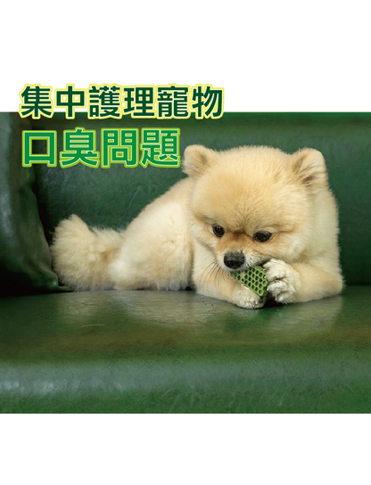 (寵物用) BYREF Honeycomb Chew Dental Brushing Treat (Chicken Flavor) S Size 狗狗蜂巢六角潔牙骨 (雞味) 細碼