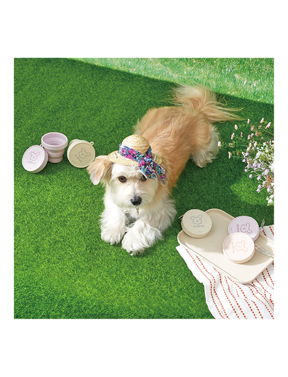 (寵物用) PUPPING Puppy Portable Cup 寵物手提摺疊杯