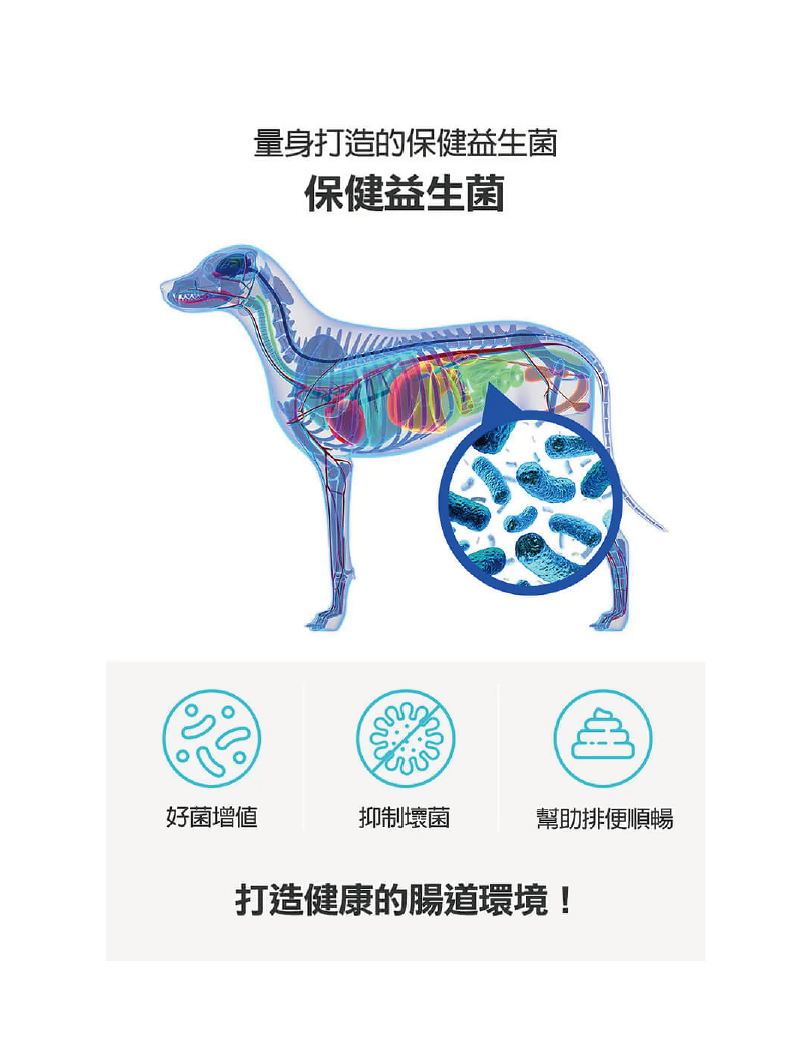 (寵物用) Mypet Doctor Dog Biotics 狗狗綜合益生菌 60g