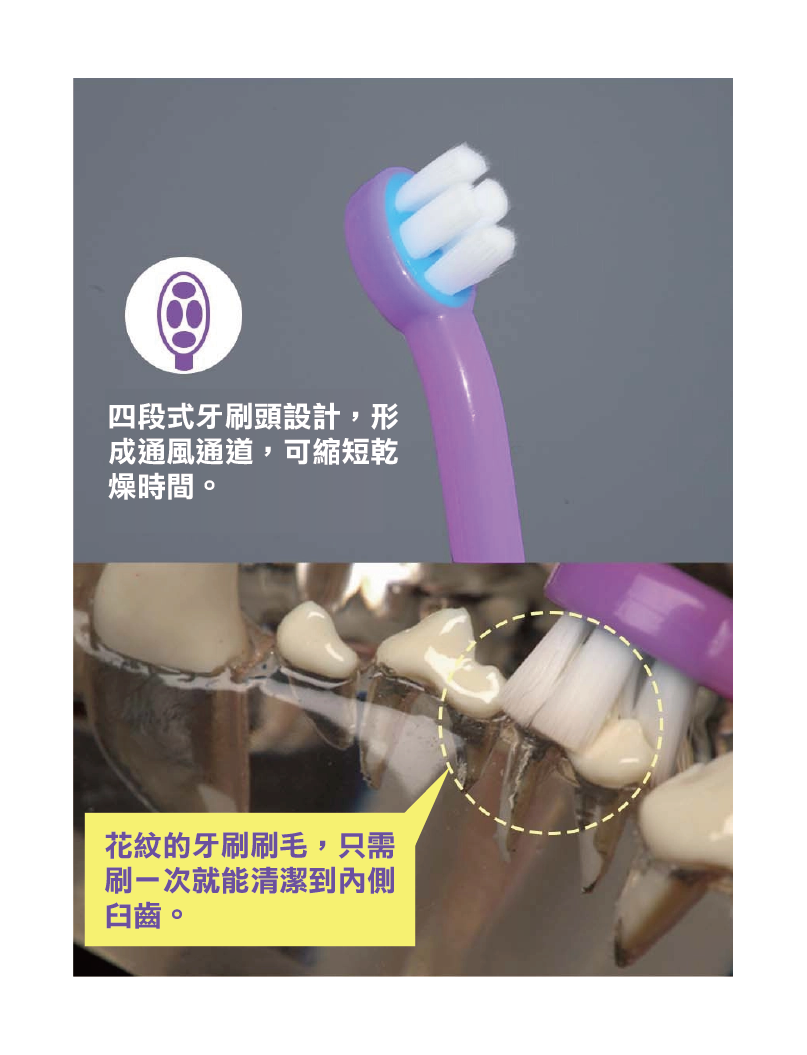 (寵物用) Chicapetca Regular Toothbrush 寵物專用牙刷 (中小型犬貓適用)
