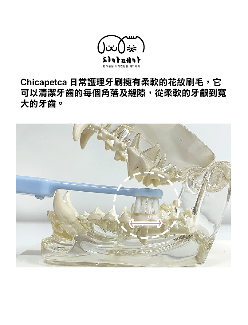 (寵物用) Chicapetca Large Toothbrush 寵物專用大頭牙刷 (中大型犬適用)