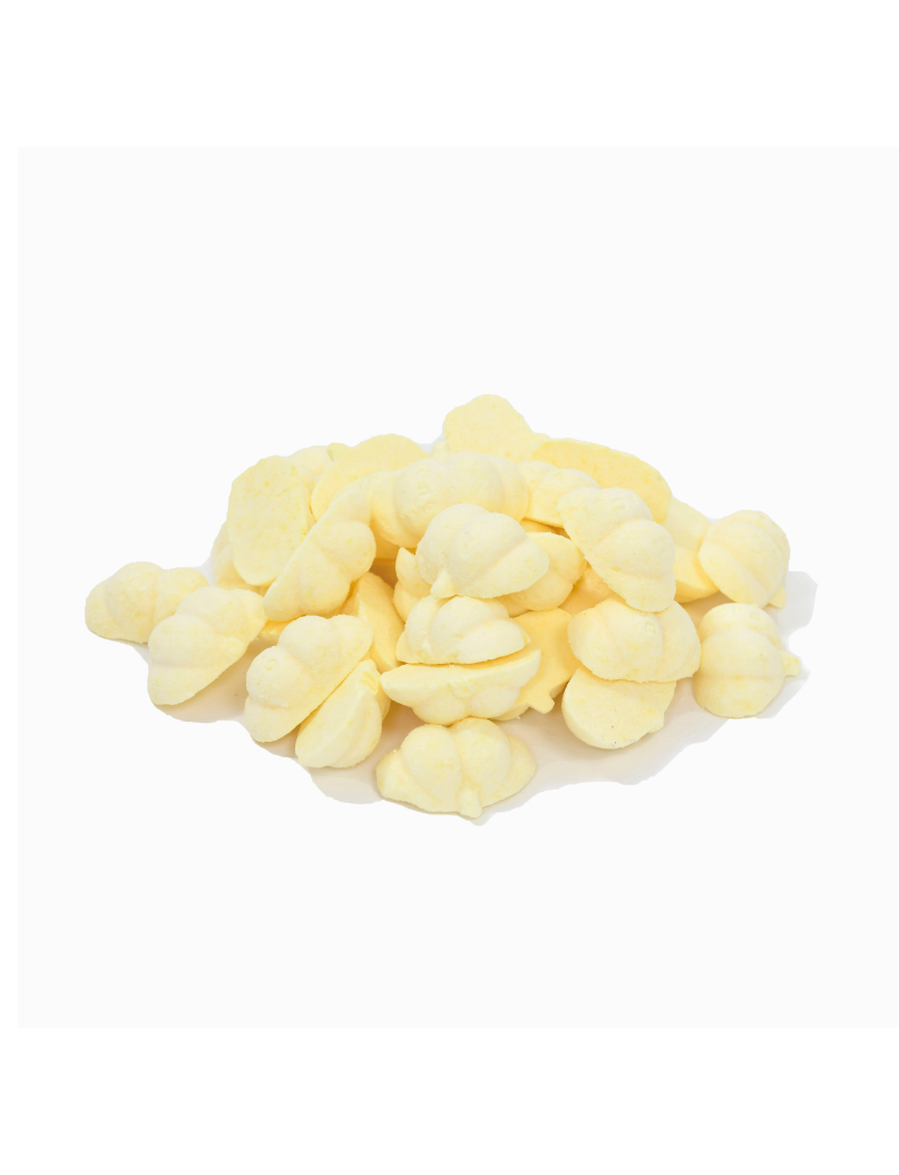 (寵物用) PawsNChews Fermented Goat Milk Probiotics 12g (Pumpkin) 發酵羊奶益生菌 12g (南瓜味)